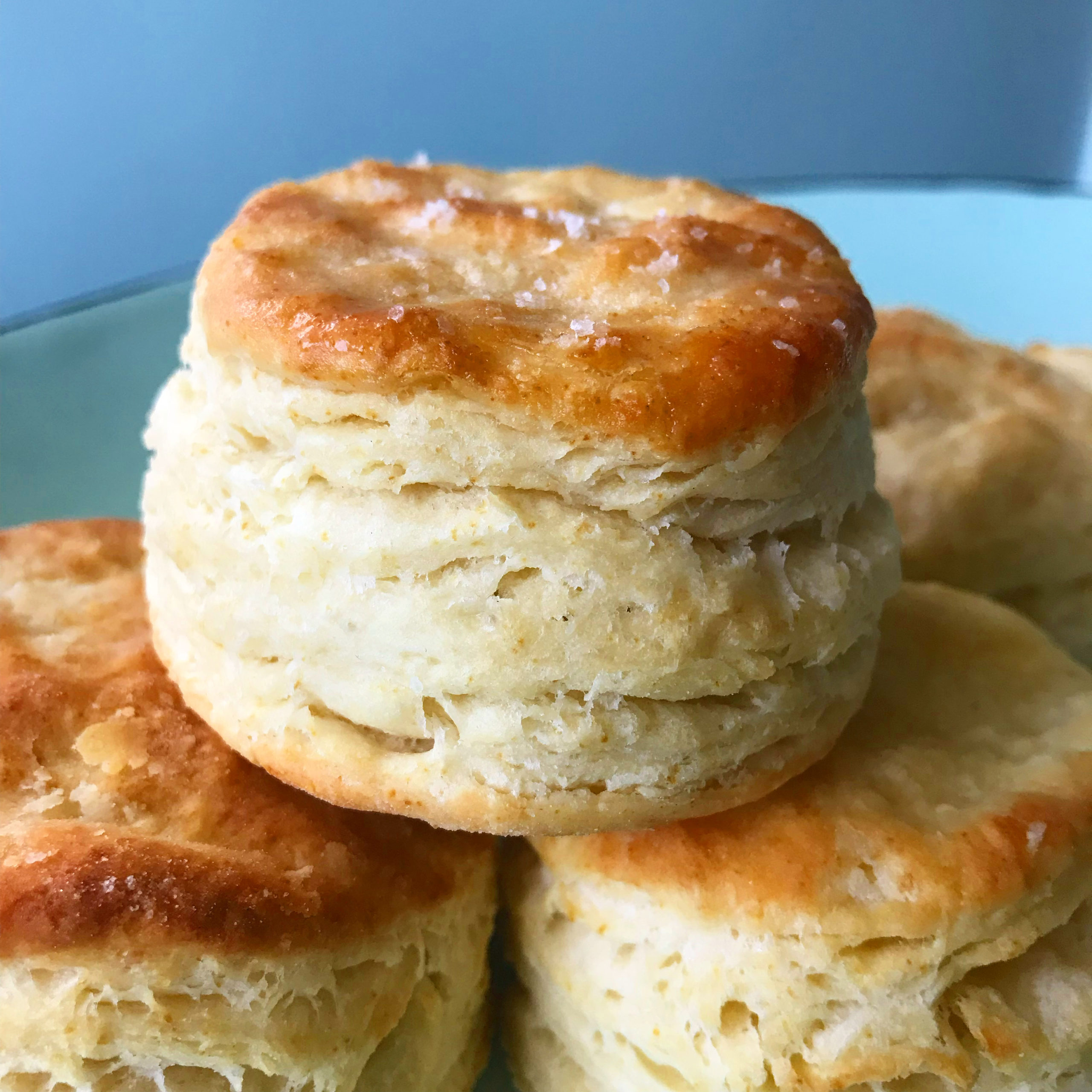 Meghan's Buttermilk Biscuit Recipe | Didn't I Just Feed You